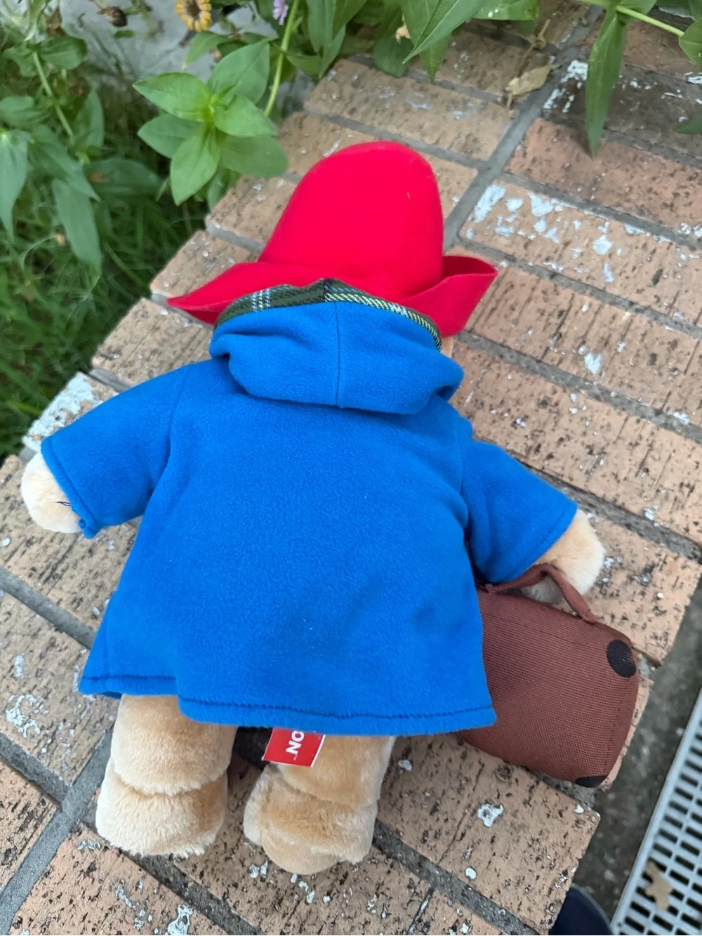 Harrods Classic Paddington Bear in Blue Coat & Red Hat Harrods Suitcase CLEAN